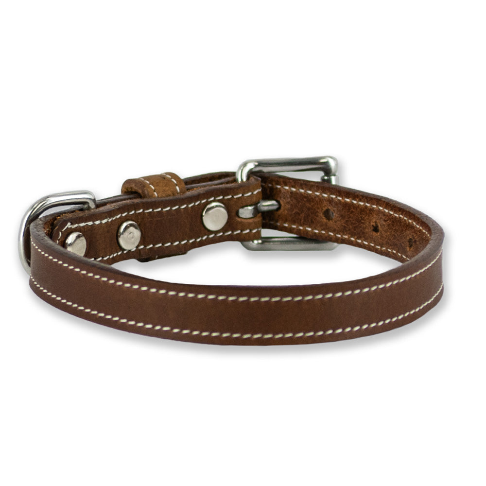 The Ollie Bison Collar by Hanks Belts is made from premium bison leather with white stitching, stainless steel hardware, metal rivets, a buckle, and a D-ring for leash attachment, all shown on a white background.