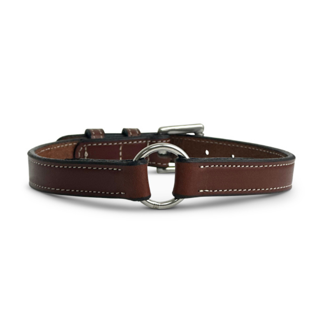 Leather Dog Collar w D Ring